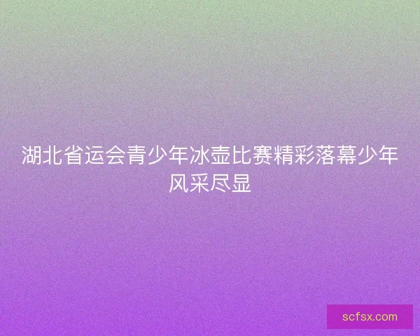 湖北省运会青少年冰壶比赛精彩落幕少年风采尽显